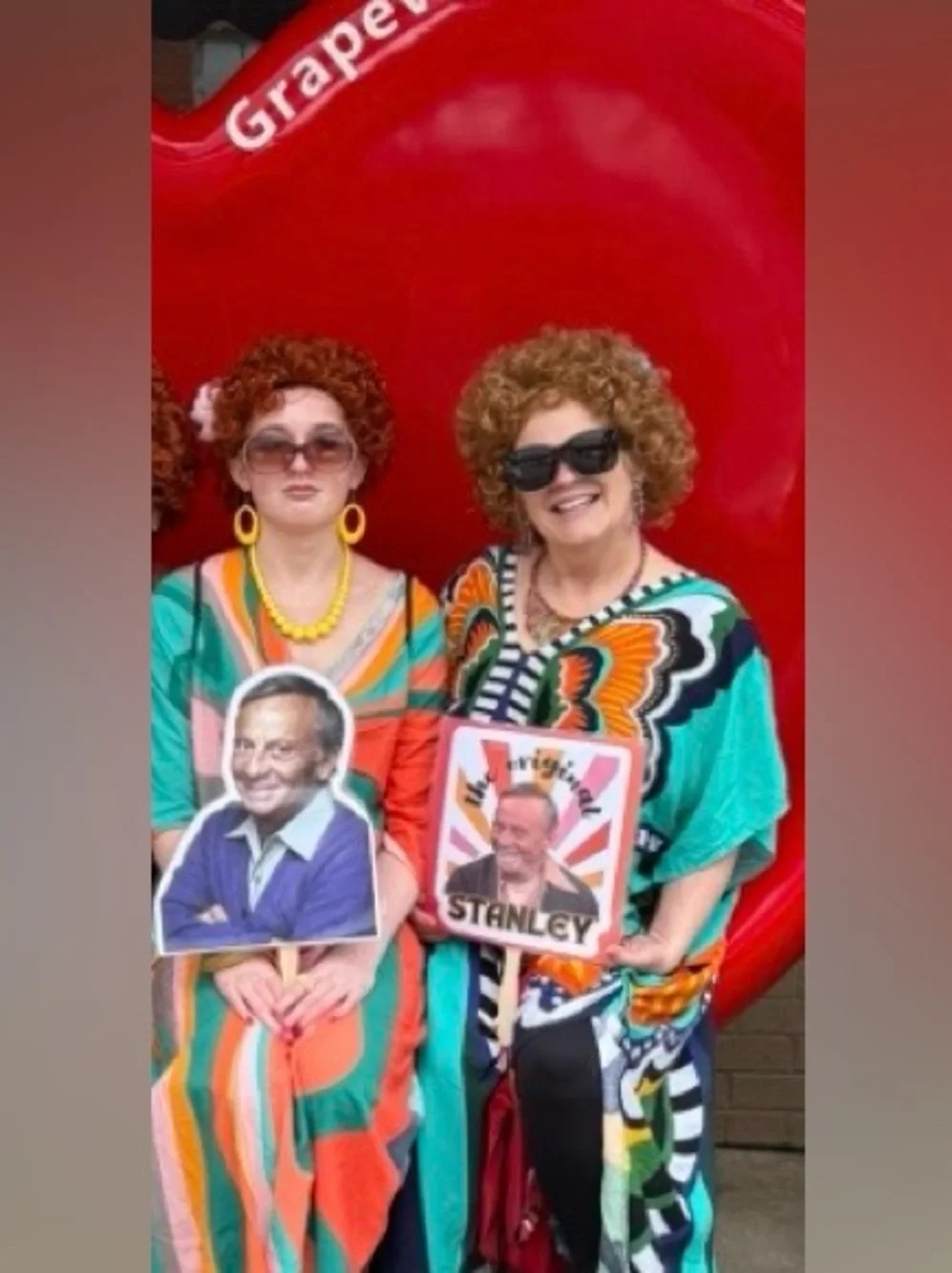 NEW Stanley Roper Romp Handheld Fans Set of 3 (pick which you’d like #3 11x13